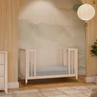 M30880NX,Rolli 9-in-1 Convertible All-Stages?? Crib w/ Bassinet & Toddler Bed Kits in Washed Natural