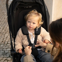 Nuna Flex Seat