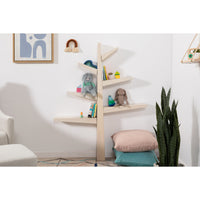 Spruce Tree Bookcase
