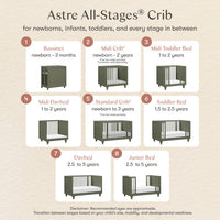 M33380AE,Nate Berkus x Babyletto Astre All-Stages Crib w/Bassinet & Toddler Bed Kits in Archival Elm