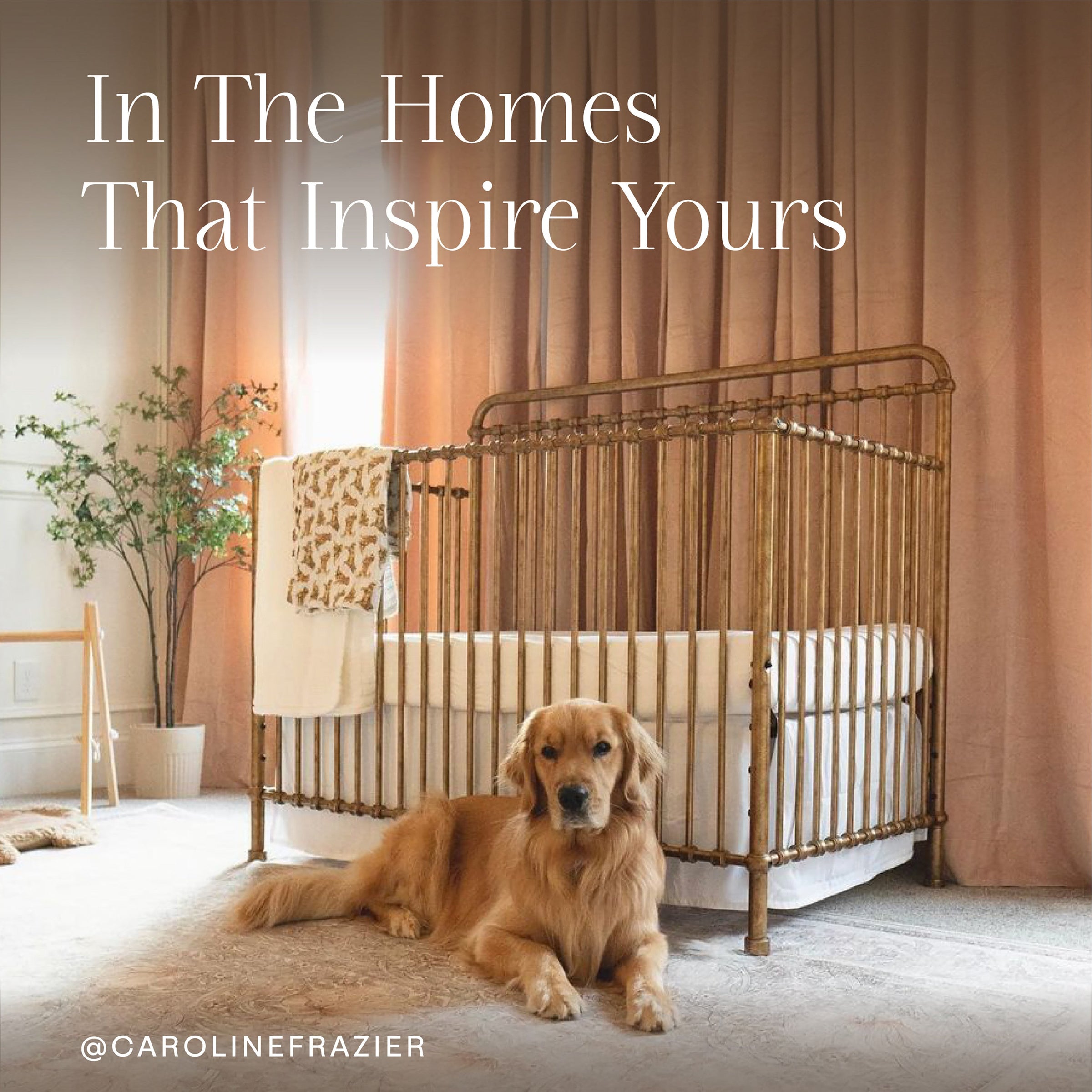 M15301VG,Winston 4-in-1 Convertible Crib in Vintage Gold