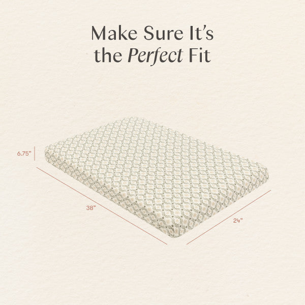 T34336JSR,Nate Berkus x Babyletto Mini Crib Sheet in Juniper Star