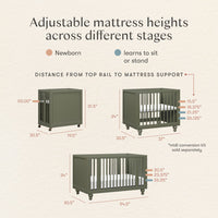 M33380AE,Nate Berkus x Babyletto Astre All-Stages Crib w/Bassinet & Toddler Bed Kits in Archival Elm