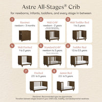 M33380TE,Nate Berkus x Babyletto Astre All-Stages Crib w/Bassinet & Toddler Bed Kits in Toffee
