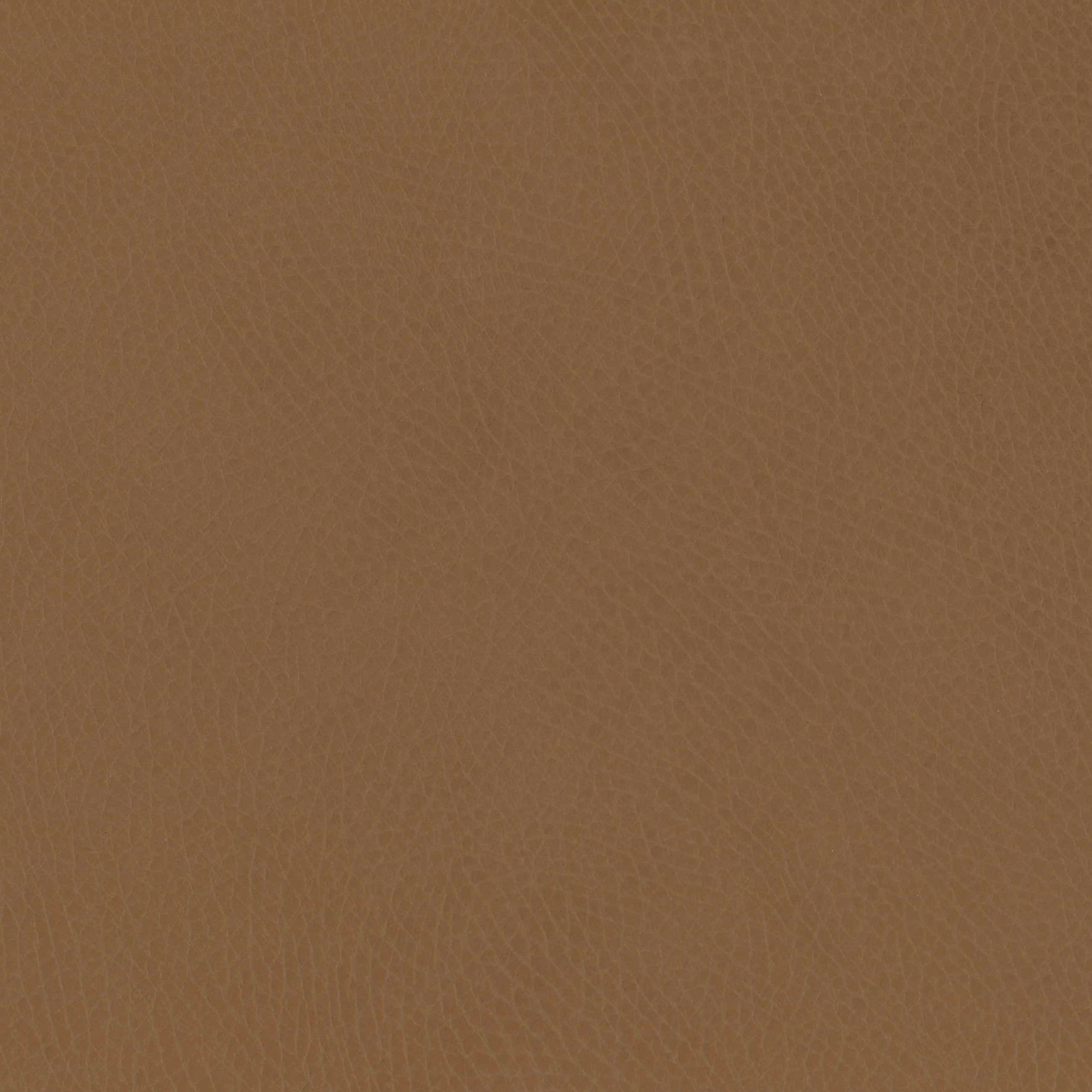 M26834GCLB,babyletto x GATHRE Capsule Bassinet in Camel