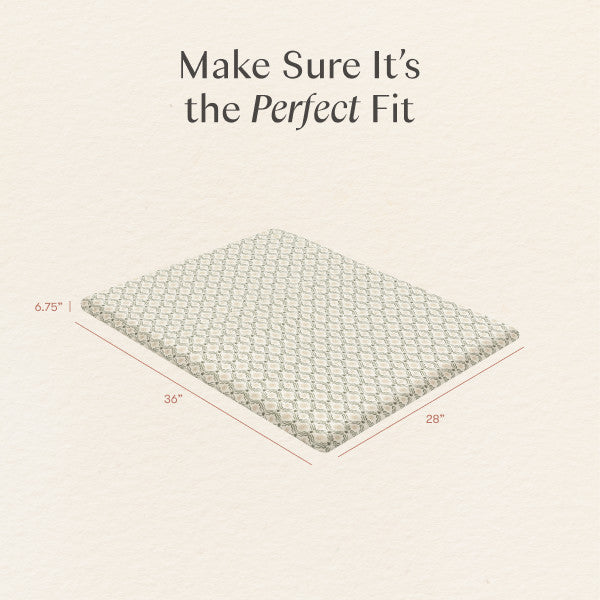 T34333JSR,Nate Berkus x Babyletto All-Stages Midi Sheet in Juniper Star