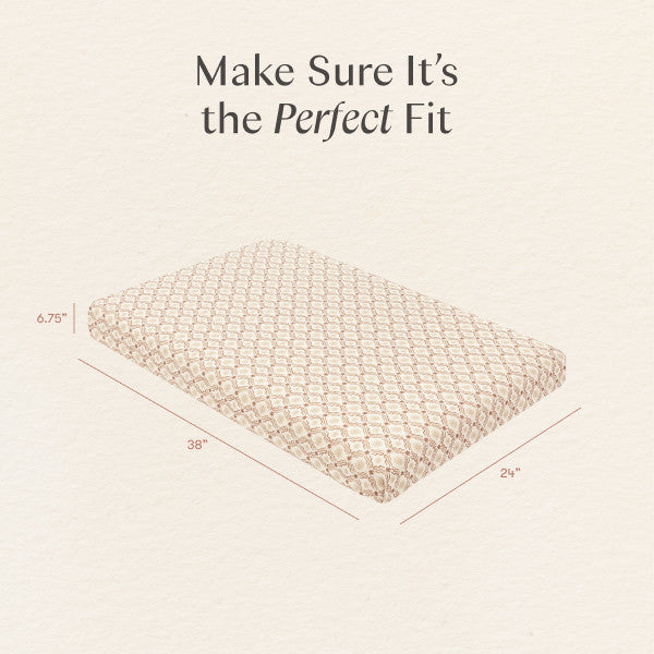 T34336ASR,Nate Berkus x Babyletto Mini Crib Sheet in Autumn Star